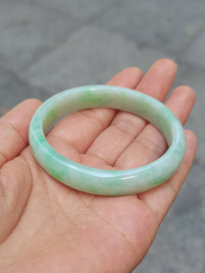 GUARDIAN | JAYDE Untreated Grade-A Jadeite Bangle in Pastel Green (56mm Oval)